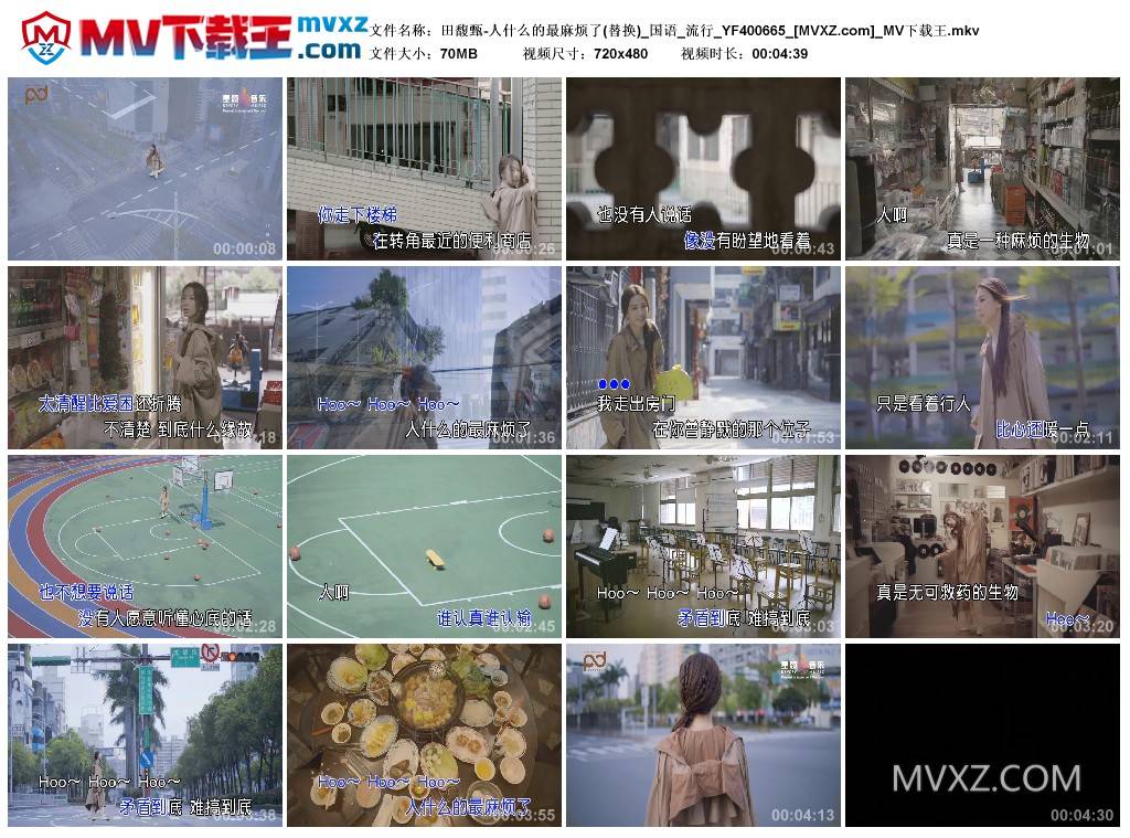 田馥甄-人什么的最麻烦了(替换)_国语_流行_YF400665